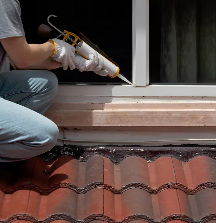 Roof Window Services in Royal Palm Beach, Florida