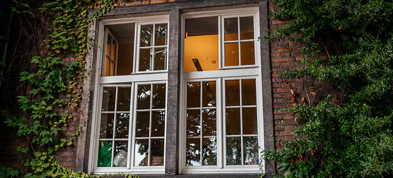 Energy Efficient Wood Windows in Royal Palm Beach, FL