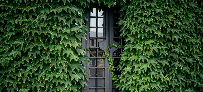 Garden Gate Repair in Royal Palm Beach, FL
