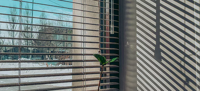 Commercial Window Blinds in Royal Palm Beach, FL